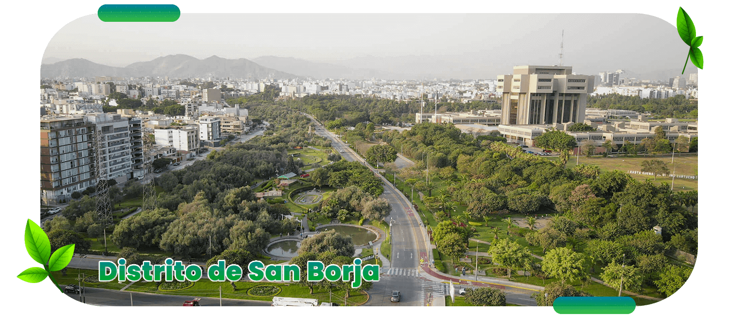 Distrito de san borja
